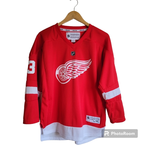 Reebok Other - Detroit Red Wings Pavel Datsyuk Reebok NHL Youth Hockey Jersey Size L XL